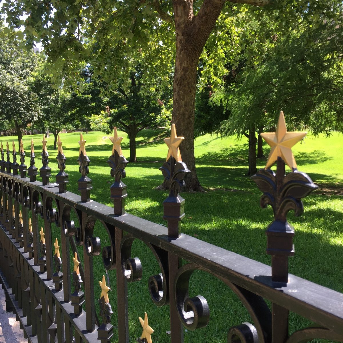 Austin capitol star fence